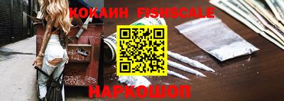 крисы Шебекино