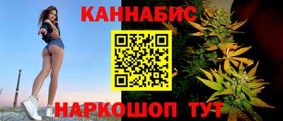 крисы Шебекино