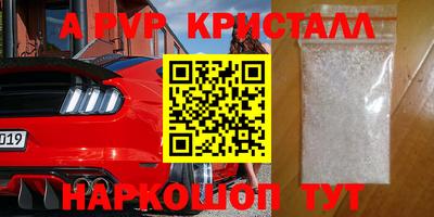 крисы Шебекино