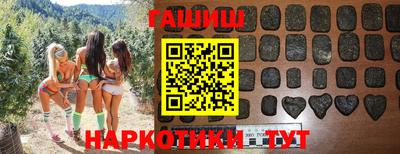 крисы Шебекино